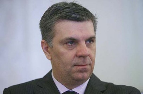 Zgonea: Proiectul din 2011 privind revizuirea Constituţiei, 
